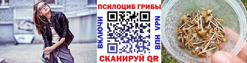 блэк спрут онион  Нолинск  Псилоцибиновые грибы Cubensis 